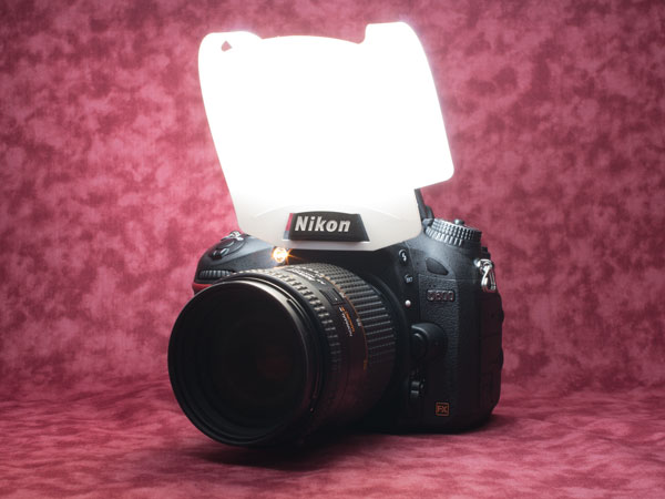 Nikon D800 Xg{fBt[U[ԂP