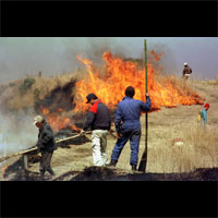 Field Burning  - Aso / Ă^h