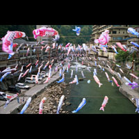 Koinobori Festival / ̂ڂՂ