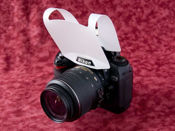 Nikon D70 �X�g���{�f�B�t���[�U�[������ԂP