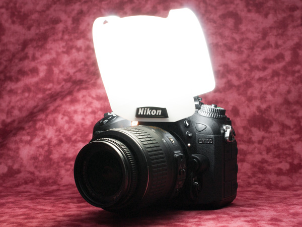 Nikon D7100 �X�g���{�f�B�t���[�U�[������ԂP